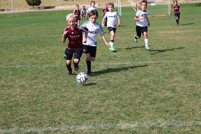 带领球队崛 带领球队崛