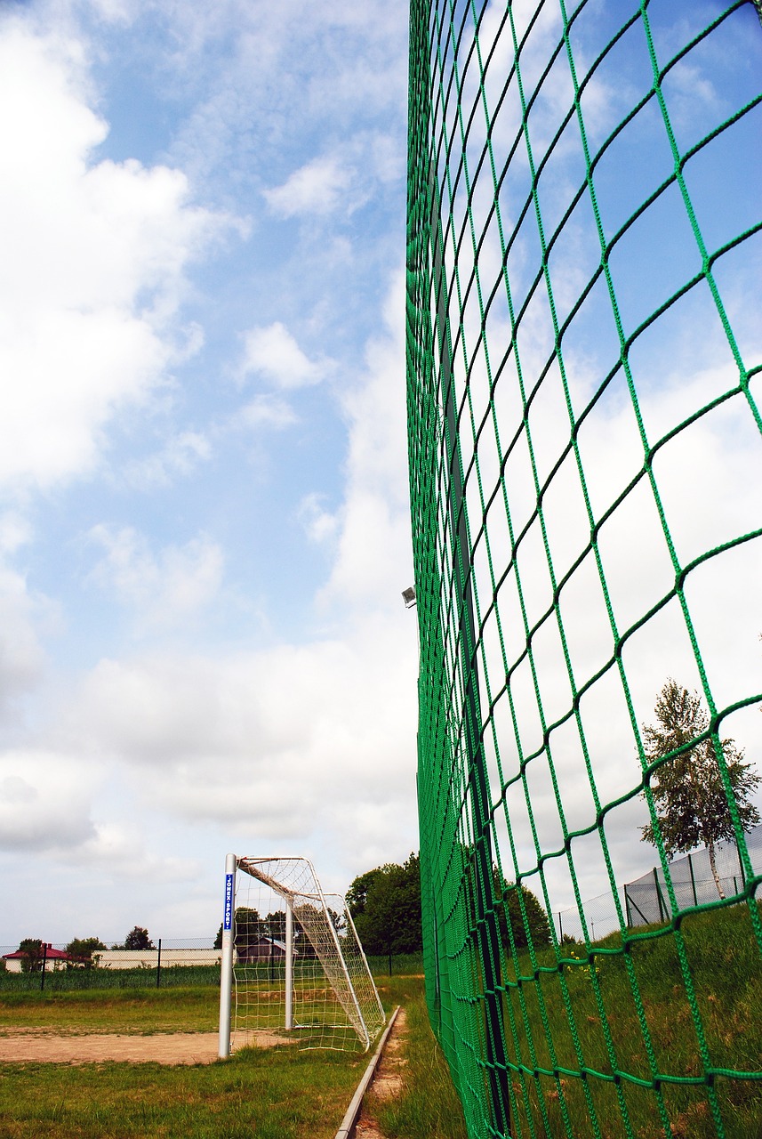 希莫维奇和 希莫维奇和