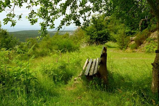 和冷静头脑 和冷静头脑